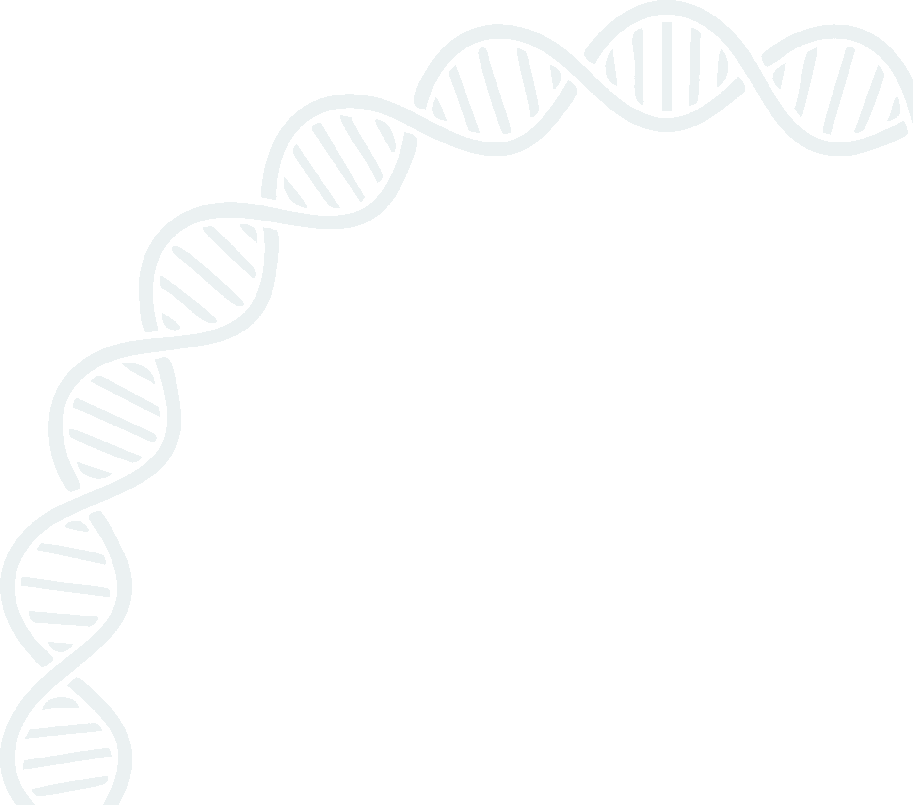 DNA Pattern